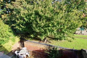 Communal garden- click for photo gallery